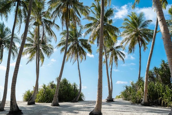Comment organiser des vacances en Grèce avec des cours de cuisine méditerranéenne et des excursions en bateau?